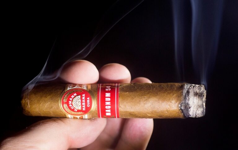 H.Upmann Magnum 54