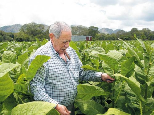 Padron – một gia đình huyền thoại của Nicaragua